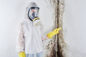 Best Forensic Mold Investigation  in Forks, WA